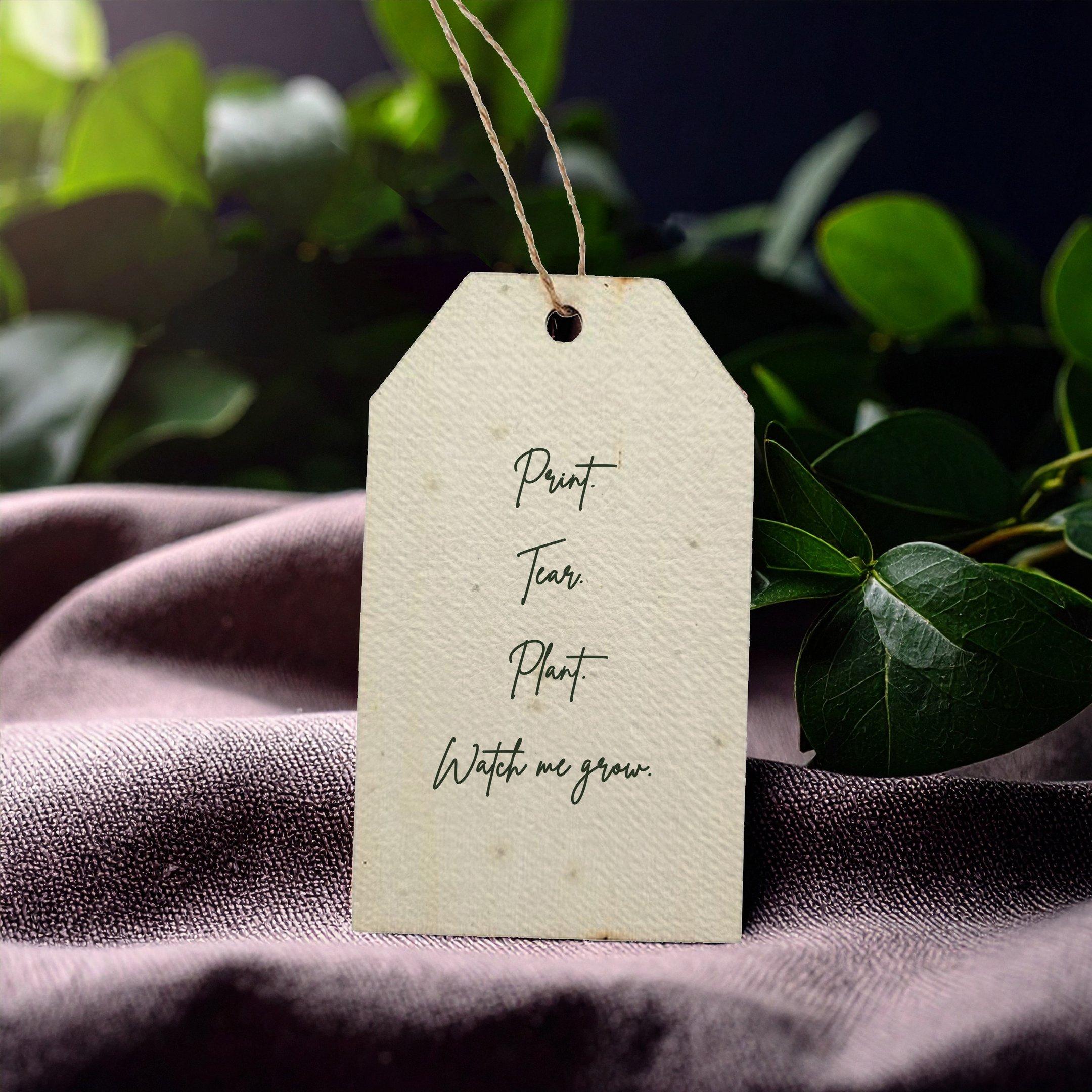 Seed paper price tags